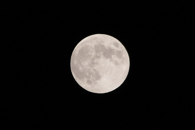 写真: 満月までもう少し