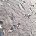 写真: 砂浜の砂ってなんでこんなにサラサラなのさ。（三浦半島）