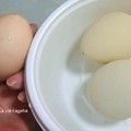 鶏の卵と同サイズ。（カメの卵）