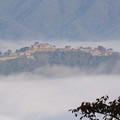 雲海の竹田城
