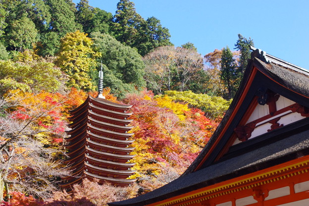 写真: 談山神社