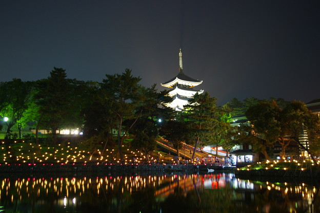 写真: 猿沢の池と興福寺