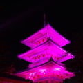 写真: 2013ピンクリボン清水寺