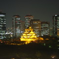 写真: オレンジリボン大阪城