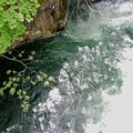 写真: 新緑と滝壺
