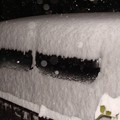 写真: 雪のマイカー