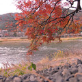 写真: 紅葉と渡月橋