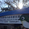 写真: 京都植物園本日無料開放 一部有料(^O^)