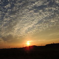 写真: 鱗雲の夕陽