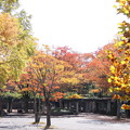 写真: 緑化センターの秋景色