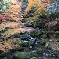 写真: 王滝渓谷：王滝川の紅葉