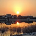 写真: 黄砂の夕陽