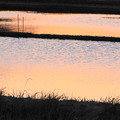 写真: 田圃の夕焼け模様