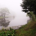 写真: 濃霧に咽ぶ段戸湖