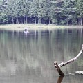 写真: 段戸湖の釣り人