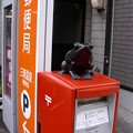 写真: 鳥取カエル旅２