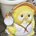写真: 黄狸と茶蛙