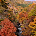 写真: 渓谷の紅葉