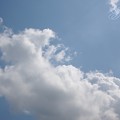 写真: 天高く...沸き立つ鼠雲