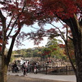 曽木の滝・・紅葉、人が多いです