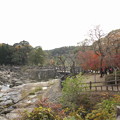 曽木の滝・・紅葉