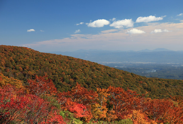 写真: 栗駒山紅葉始まる
