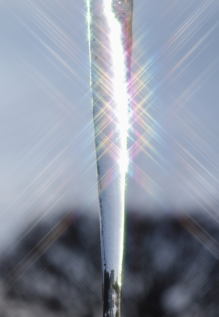 写真: 光る氷柱
