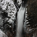 写真: 厳寒の中の不動滝