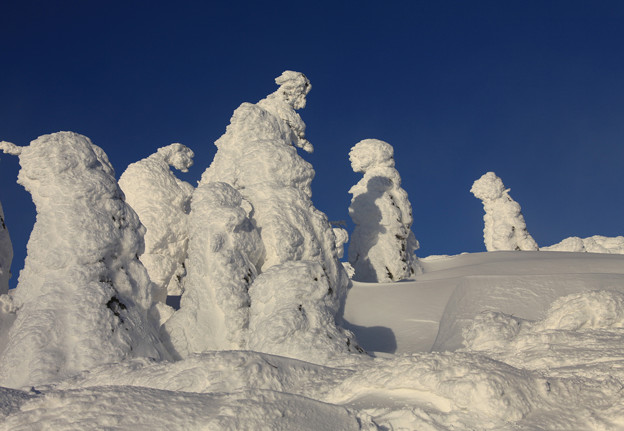 写真: 三宝荒神山の樹氷