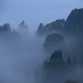 写真: 濃霧に包まれて