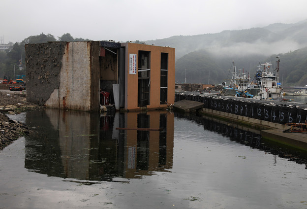 写真: 女川漁港の現状