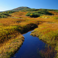 写真: 鮮麗な湿原