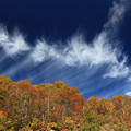 写真: 彩りと流れる雲