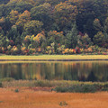 写真: 彩る大沼の静けさ