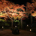 写真: 心色づく松島の夜