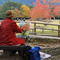 写真: 秋彩を描く