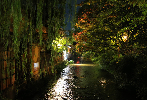 写真: 祇園の風情