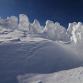 写真: 樹氷群の豊満さ