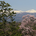 写真: 春来る安達太良山