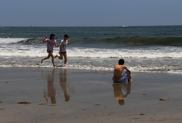 写真: 砂浜を走る