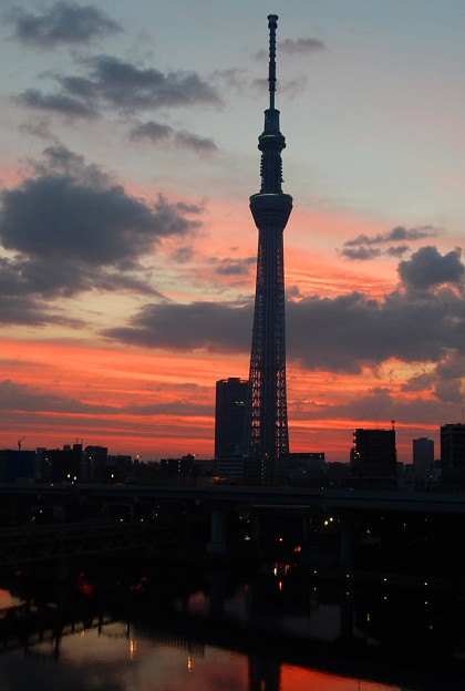 写真: 朝焼けの東京