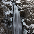 写真: 厳寒の秋保大滝