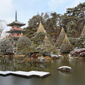 写真: 冬の輪王寺庭園