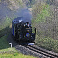 写真: 力走する蒸気機関車