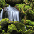 Photos: 苔の美しい元滝