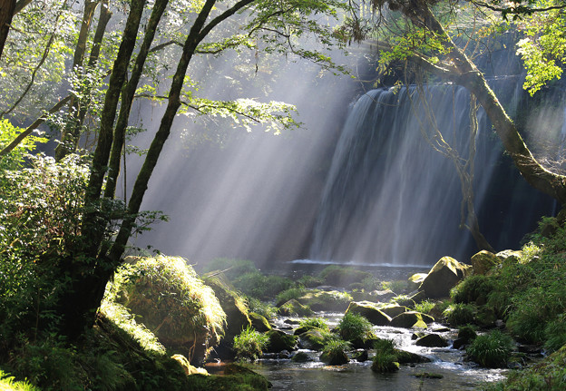 Photos: 幻想的光芒の鍋ヶ滝