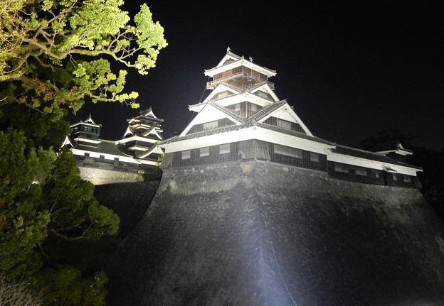 写真: 夜の熊本城