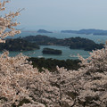 写真: 美しき日本・松島