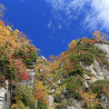 写真: 立山大観峰の紅葉