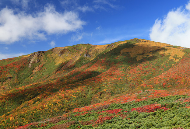 写真: 美しき日本・栗駒山